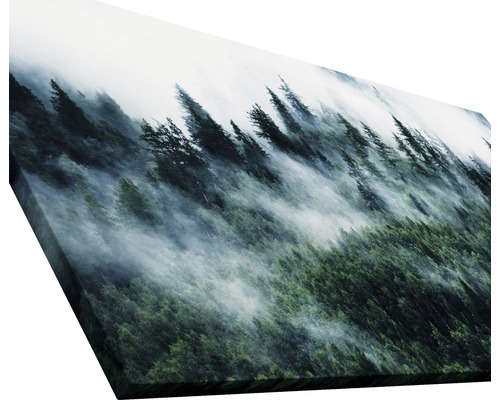 Leinwandbild mit Wald und Nebel