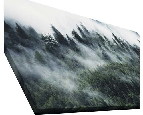 Leinwanddruck mit Waldmotiv im Nebel