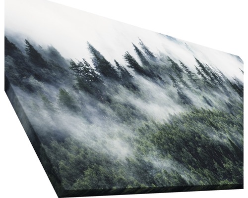 Leinwandbild mit Waldmotiv und Nebel