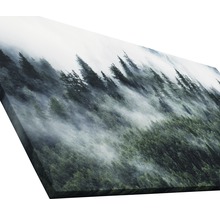Giclée Leinwandbild Mystic Forest VI 80x160 cm