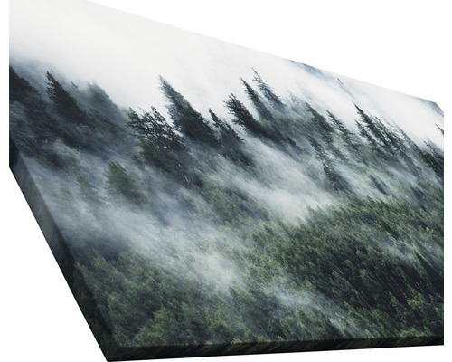 Leinwandbild mit Wald im Nebel
