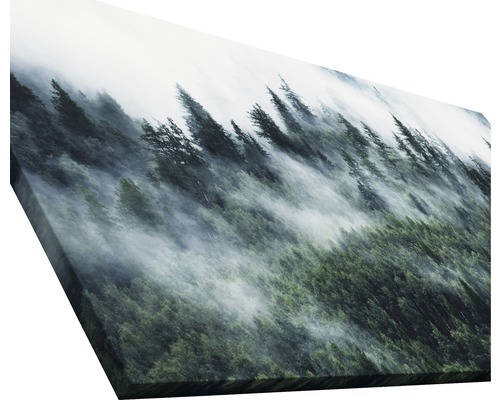 Leinwandbild mit Wald und Nebel