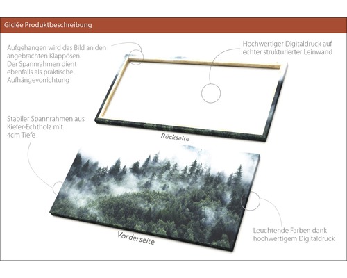 Leinwandbild mit Waldmotiv, Vorder- und Rückseite Ansicht