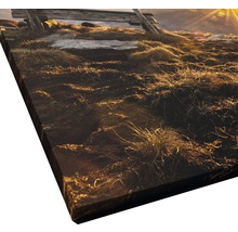 Nahaufnahme einer Leinwand mit dem Aufdruck einer Berglandschaft