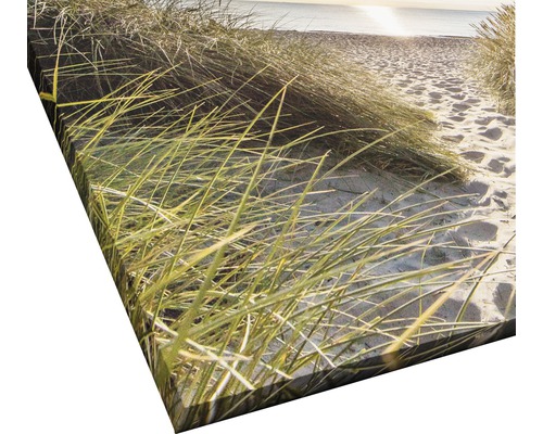 Leinwandbild mit Dünenlandschaft am Strand