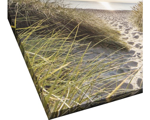 Leinwandbild mit Strandhafer und Sandstrand