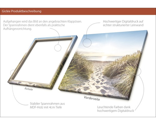 Detailansicht eines Giclée Kunstdrucks auf Leinwand mit einem Motiv von einem Sandstrand und Grasdünen, gezeigt mit Rahmenrückseite und Druckvorderseite