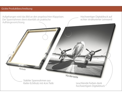 Leinwandbild mit Flugzeugmotiv, Rückseite mit Klappösen zur Aufhängung und Spannrahmen aus Kiefernholz