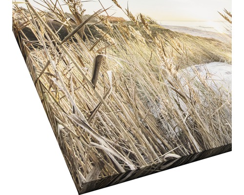 Leinwandbild mit Graslandschaft