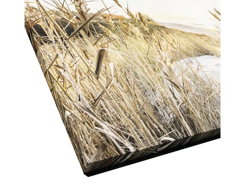 Leinwanddruck mit Darstellung von Gras