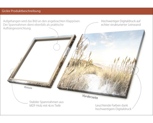 Giclée Produktbeschreibung: Rückseite mit Klappösen und MDF Holzrahmen, Vorderseite mit hochwertigem Digitaldruck auf Leinwand