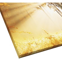 Nahaufnahme einer Leinwand mit Waldmotiv und Sonnenschein