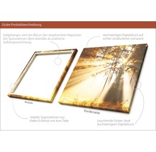 Giclée Kunstdruck mit Waldmotiv auf Leinwand und Keilrahmen aus Kiefernholz