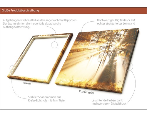 Giclée Kunstdruck mit Waldmotiv auf Leinwand und Keilrahmen aus Kiefernholz