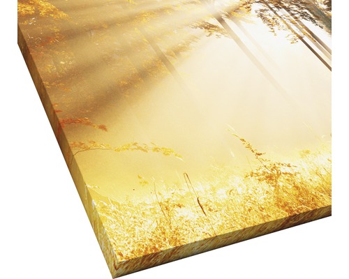 Nahaufnahme eines Waldmotivs auf Leinwand mit Sonnenlicht.