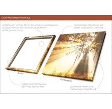 Giclée Kunstdruck auf Leinwand mit Waldmotiv und MDF-Rahmen