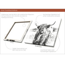 Leinwandbild mit Highlandrind-Motiv und MDF-Holzrahmen