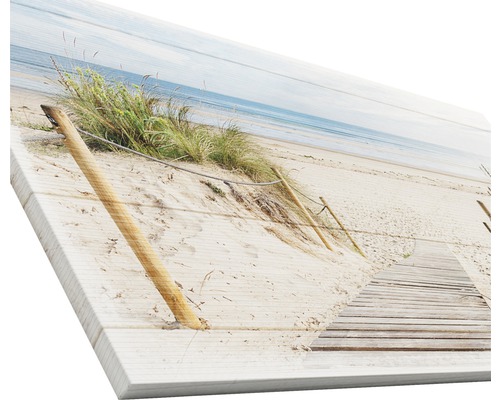 Leinwandbild mit einem Strandmotiv mit Sand, Gras, Pfosten und einer hölzernen Promenade