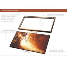 Giclée Leinwandbild Autumn Forest ll 50x100 cm
