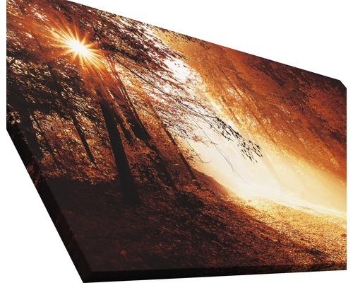 Waldweg Leinwandbild mit Sonnenschein