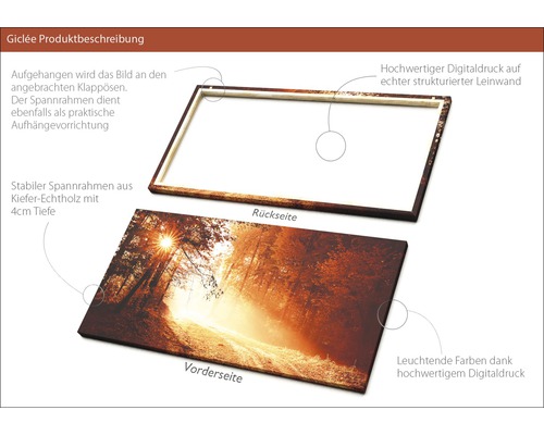 Detailansicht einer Leinwand mit Waldmotiv, Rückseite mit Spannrahmen und Aufhängevorrichtung.