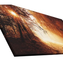 Giclée Leinwandbild Autumn Forest ll 80x160 cm