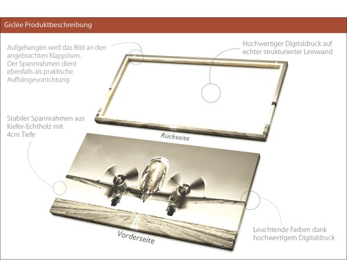 Canvas Bild mit Flugzeugmotiv und Holzrahmen