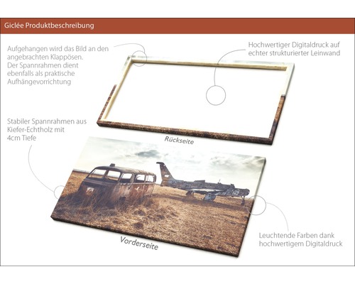 Leinwandbild mit einem Motiv von einem Flugzeugwrack und einem Buswrack auf einem Feld