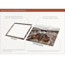 Leinwandbild 77x57 cm mit Motiv eines alten Autos und stabilem MDF-Spannrahmen