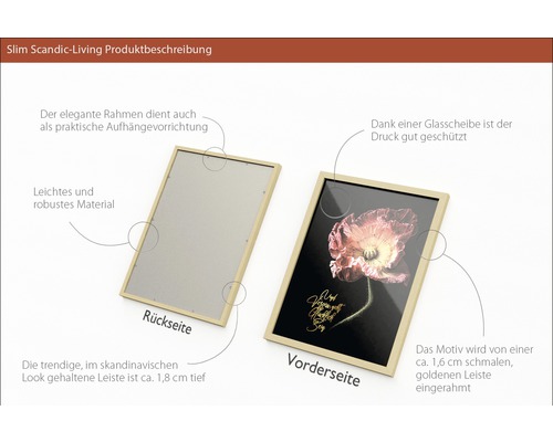 Bilderrahmen mit Glasabdeckung für den Druckschutz, Rückseite mit Aufhängevorrichtung