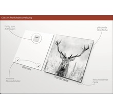 Glasbild Grey Deer Head ll 30x30 cm GLA2150