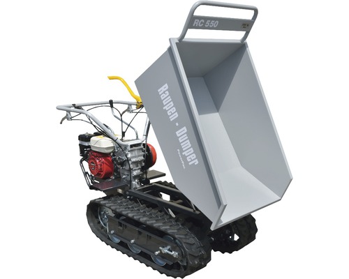 Raupendumper mit Mulde