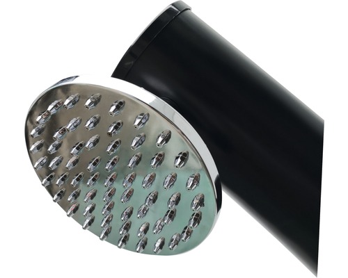 Duschkopf mit Brausearm