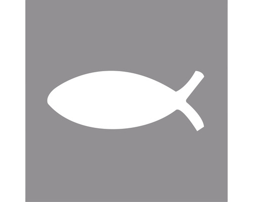 Ichthys Symbol