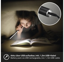 Mädchen liest Buch im Zelt mit aufladbarer USB Handleuchte