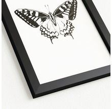 Gerahmtes Bild mit Schmetterlingsmotiv