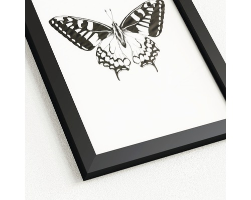 Gerahmtes Bild mit Schmetterlingsmotiv