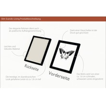 Abbildung zweier Bilderrahmen, einer zeigt die Rückseite und einer die Vorderseite mit Schmetterlingsmotiv