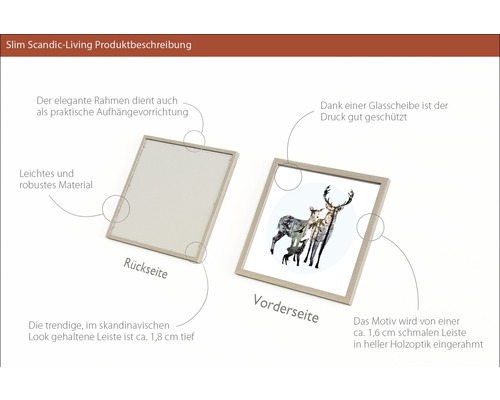 Produktbeschreibung eines Bilderrahmens mit Tiermotiv. Vorder- und Rückseite sind dargestellt.