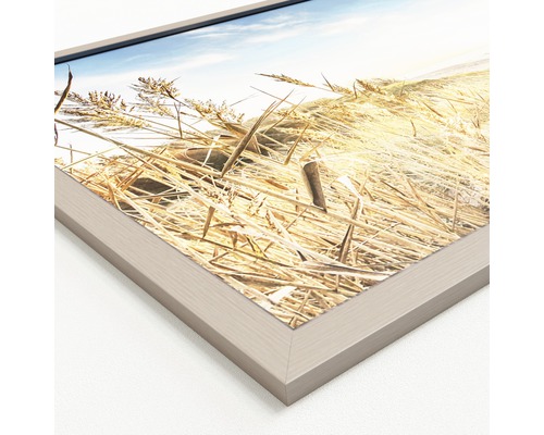 Gerahmtes Bild mit Gräsern als Motiv
