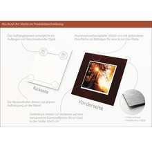 Produktbeschreibung einer Aluminium Acrylglasplatte 50x50 cm mit Aufhängesystem und Distanzhaltern
