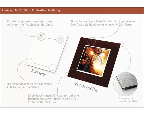 Produktbeschreibung einer Aluminium Acrylglasplatte 50x50 cm mit Aufhängesystem und Distanzhaltern