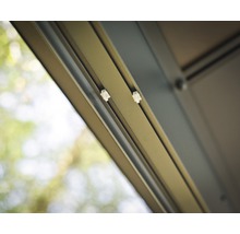 Pavillon Palram – Canopia Dallas 4900 488 x 364 cm anthrazit