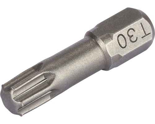 Torx Bit T30