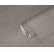 Vliestapete 379524 Daniel Hechter 7 Uni beige