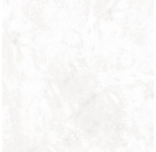 Duschrückwand SCHULTE DecoDesign ExpressPlus Marmoroptik hell 255 x 150 cm EP1901525 603