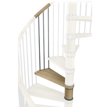 Detailansicht einer Wendeltreppe mit Holzstufen und Metallgeländer