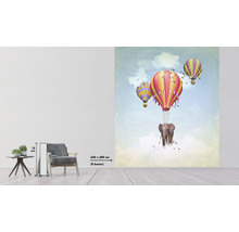 Fototapete Vlies HRBP300017 Luftballon Elefant 5-tlg. 243 x 280 cm