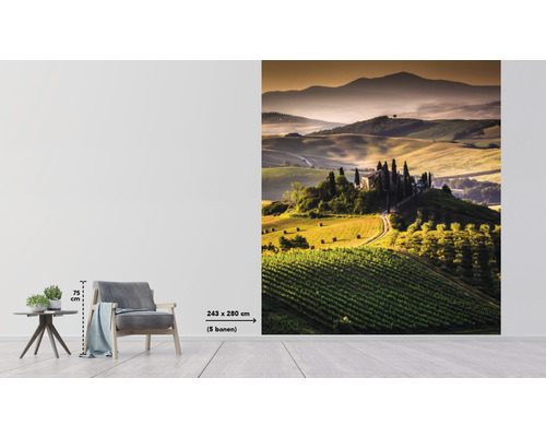 Fototapete mit toskanischer Landschaft und Bauernhaus, Größe 243x280 cm
