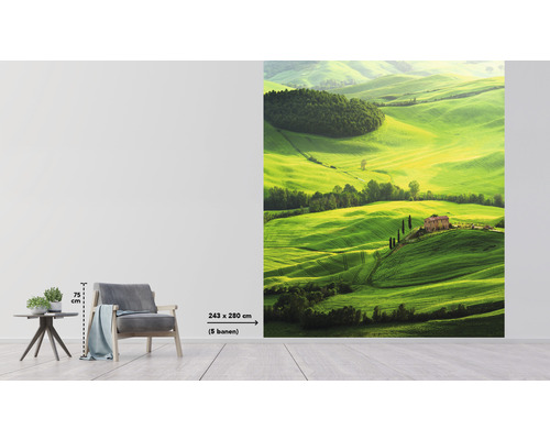 Fototapete mit Landschaftsmotiv einer grünen Hügellandschaft mit Häusern, Format 243 mal 280 Zentimeter